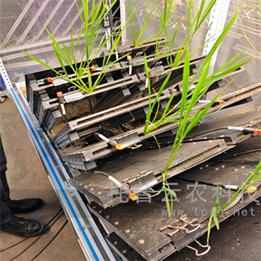 高通量植物根系表型采集分析系统（根盒式）